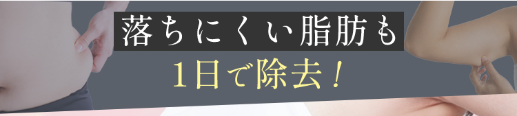 落ちにくい脂肪も一日で除去