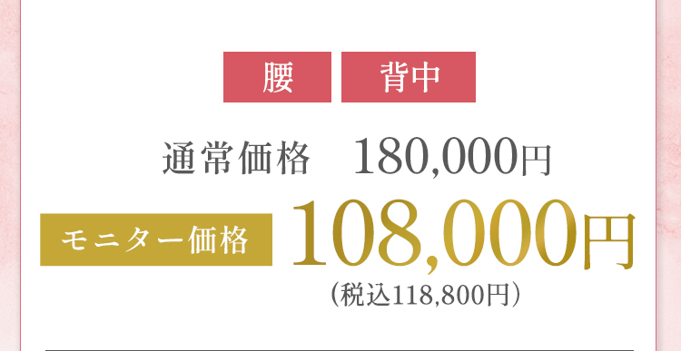 腰、背中 モニター価格 108,000円