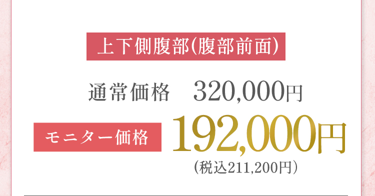 上下側腹部 モニター価格 192,000円