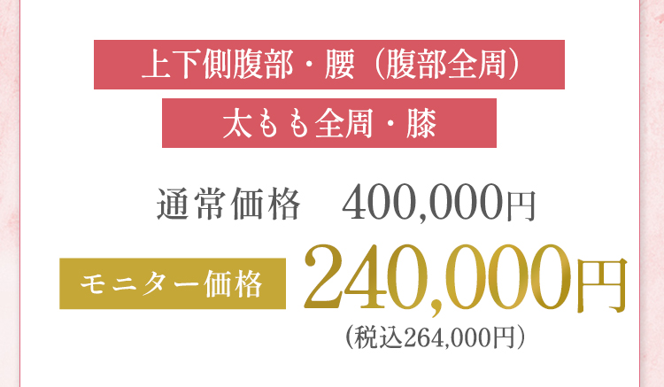 上下側腹部・腰、太もも全周・膝 240,000円