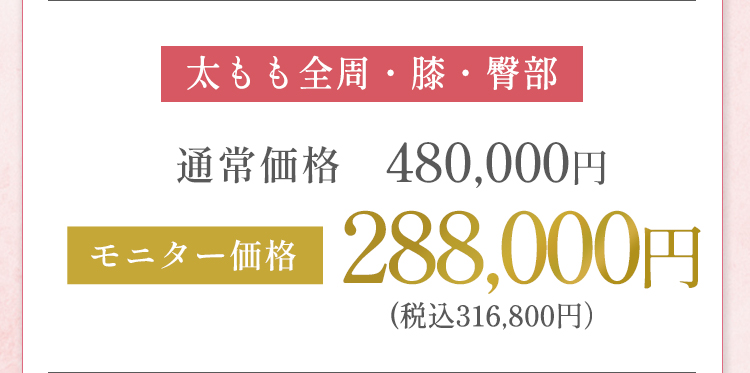太もも全周・膝・臀部 モニター価格 288,000円